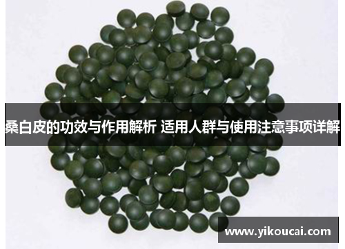 桑白皮的功效与作用解析 适用人群与使用注意事项详解 桑白皮的功效与作用解析 适用人群与使用注意事项详解